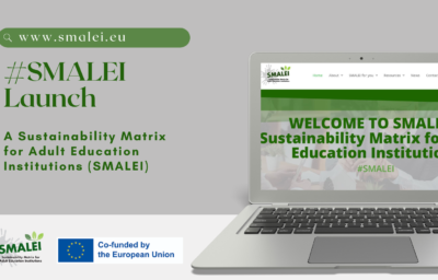 SMALEI presents its official website