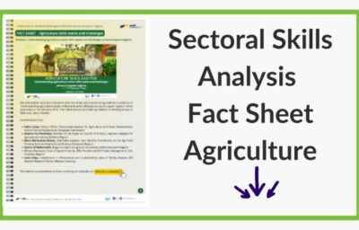 Sectoral Skills Analysis | Fact Sheet