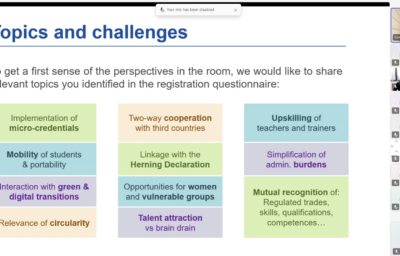 Shaping the International Dimension of VET: Stakeholder Insights Feeding the Future EU Strategy