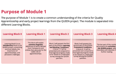 QUEEN Interregional Capacity Building Module published
